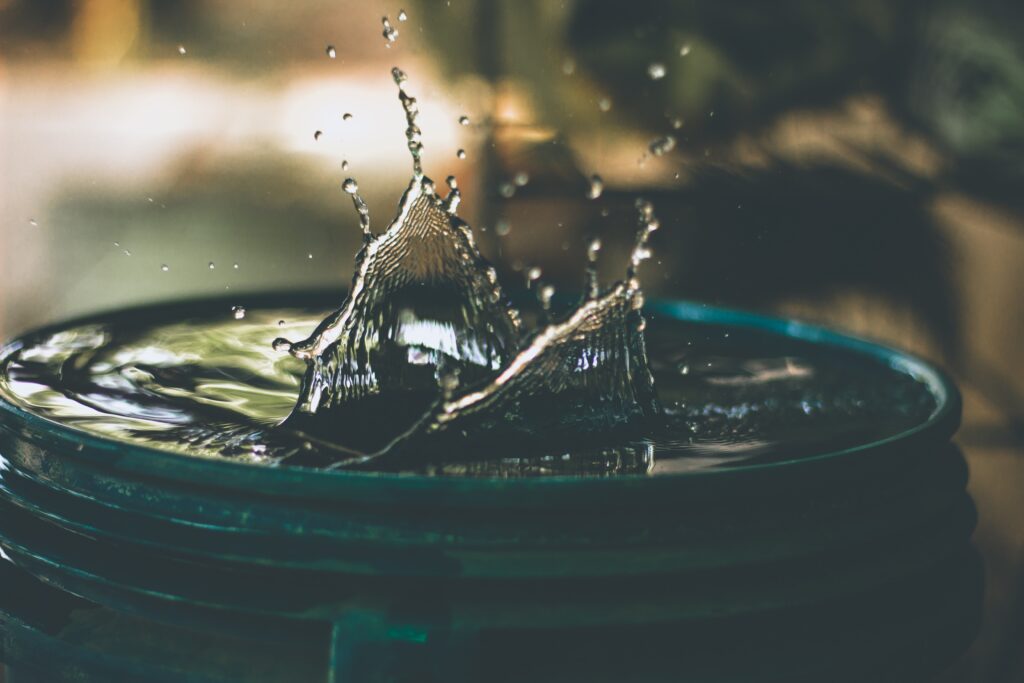 Why Do Cats Hate Water?