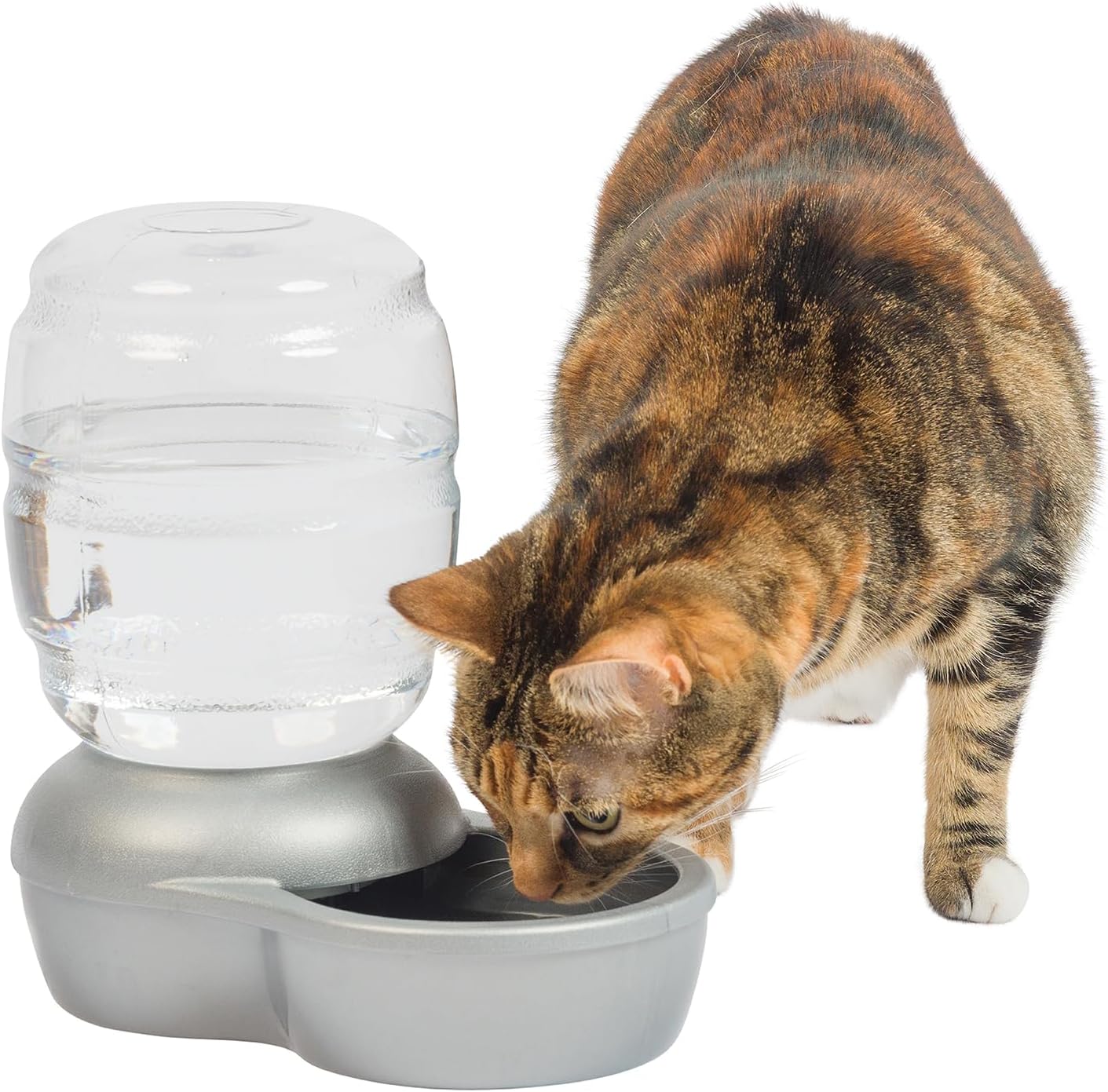 Petmate Pet Cafe Waterer Cat and Dog Water Dispenser Review